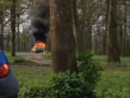 એક તરફ આગ બીજી તરફ સાવજ