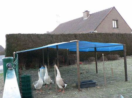 ચીનમાં માણસોમાં ફેલાયું બર્ડ ફ્લૂ, ભારત થઇ જાય સાવધાન