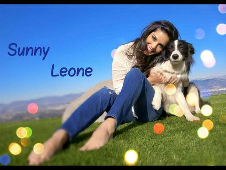 સેલિબ્રિટીઓ વિથ એડોરેબલ પેટ્સ