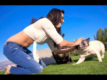 સેલિબ્રિટીઓ વિથ એડોરેબલ પેટ્સ