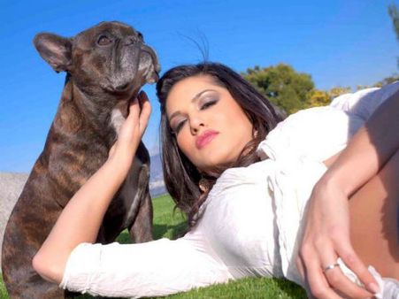 સેલિબ્રિટીઓ વિથ એડોરેબલ પેટ્સ