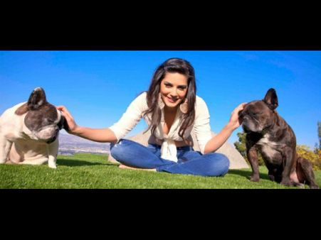 સેલિબ્રિટીઓ વિથ એડોરેબલ પેટ્સ