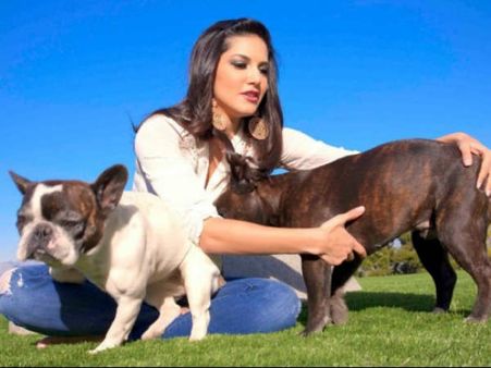 સેલિબ્રિટીઓ વિથ એડોરેબલ પેટ્સ