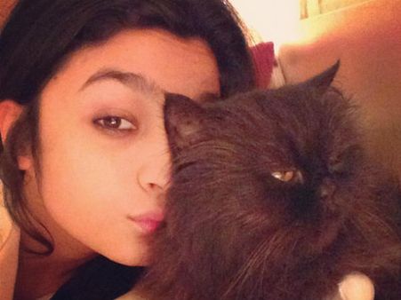 સેલિબ્રિટીઓ વિથ એડોરેબલ પેટ્સ