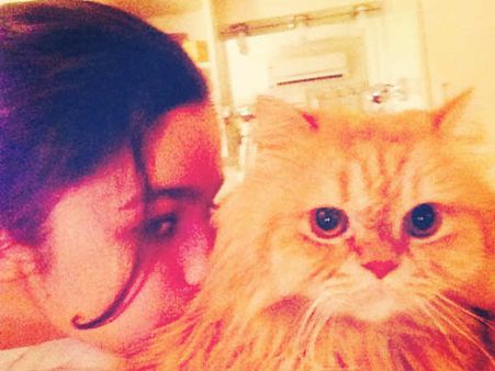 સેલિબ્રિટીઓ વિથ એડોરેબલ પેટ્સ