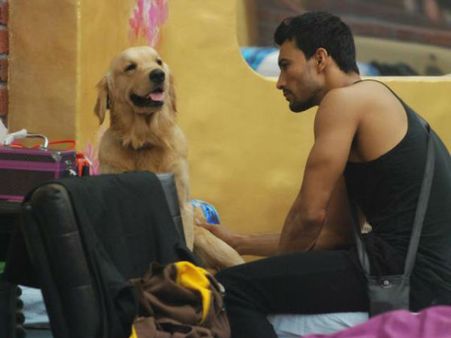 સેલિબ્રિટીઓ વિથ એડોરેબલ પેટ્સ