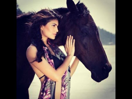 સેલિબ્રિટીઓ વિથ એડોરેબલ પેટ્સ