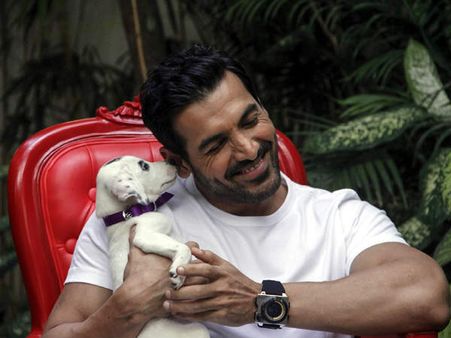 સેલિબ્રિટીઓ વિથ એડોરેબલ પેટ્સ