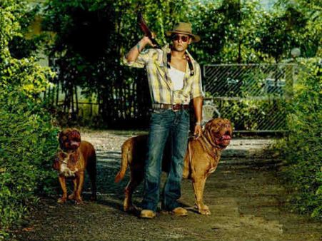 સેલિબ્રિટીઓ વિથ એડોરેબલ પેટ્સ