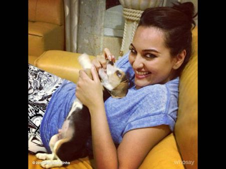 સેલિબ્રિટીઓ વિથ એડોરેબલ પેટ્સ