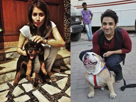 સેલિબ્રિટીઓ વિથ એડોરેબલ પેટ્સ