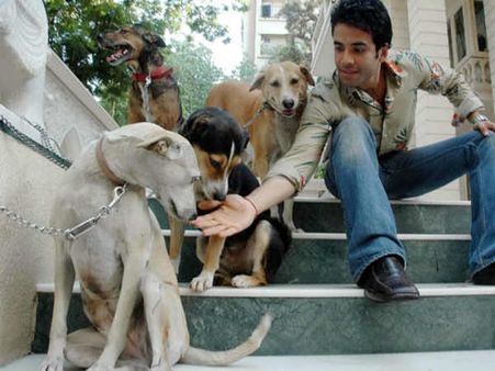 સેલિબ્રિટીઓ વિથ એડોરેબલ પેટ્સ