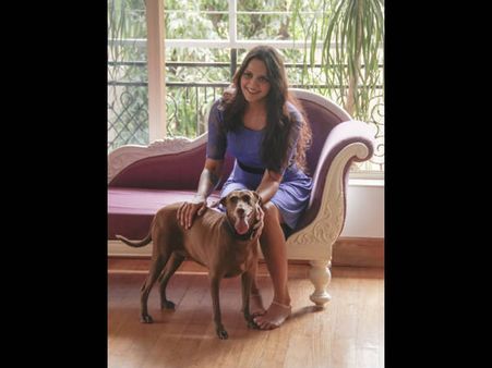 સેલિબ્રિટીઓ વિથ એડોરેબલ પેટ્સ