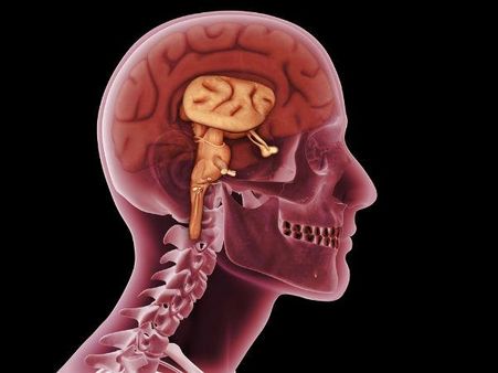 મગજને સુરક્ષાત્મક રીતે બદલે છે