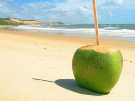 કિડની સારવાર માટે કિડની સારવાર માટે