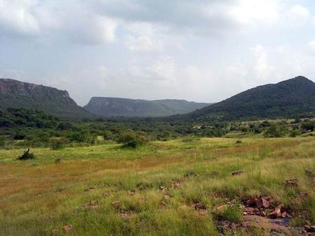 રણથંભોર રાષ્ટ્રીય ઉદ્યાન