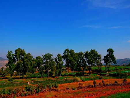 કેવી રીતે જશો પંચગીની