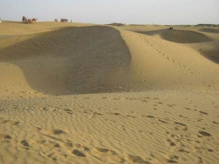 બીકાનેરના રેતીના ટિંબા