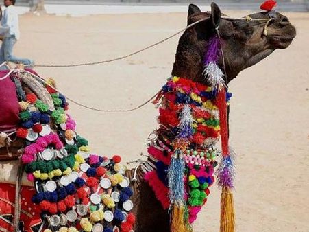 સજાવેલું ઉંટ