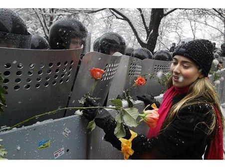 એન્ટી રાયોટ