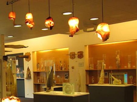 ફિલ્મ બની, લોકો કરે છે રિસર્ચ 