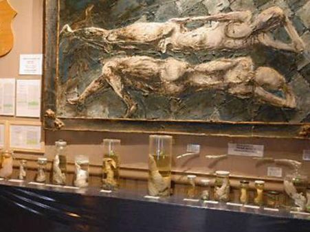 એક ઘરમાં બનાવ્યું હતું મ્યૂઝિયમ 