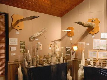 સરકારે કર્યું પ્રમોશન 