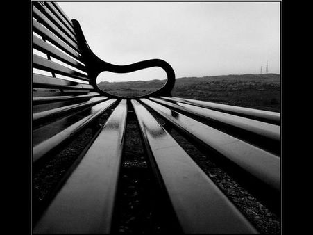 Basking Reds by Lovesvanhalen 