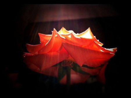 Glasgow, Scotland By pedrouk 