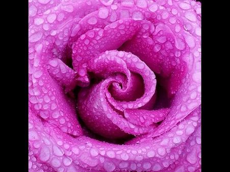 Reflections Of Amsterdam - The Stargazer By AmsterSam 