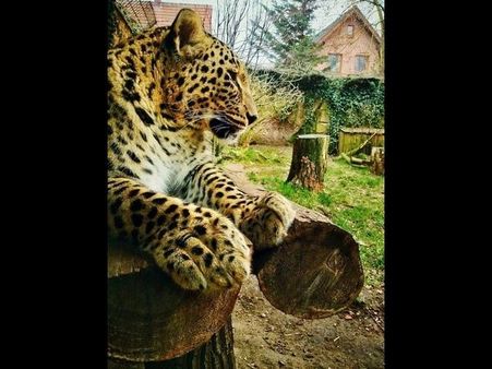 Days Eating into Eternity By Robinrimbaud 