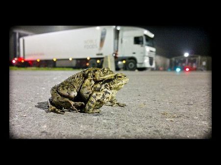 Deception Fading by MyLewt 