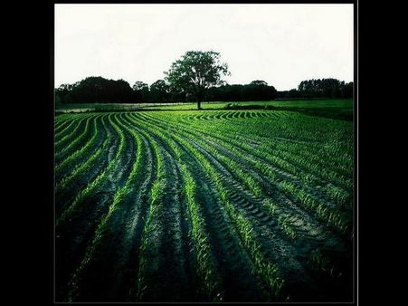 In Transit By Greg Foster Photography 