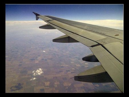 Bend and Leaf By Lovesvanhalen