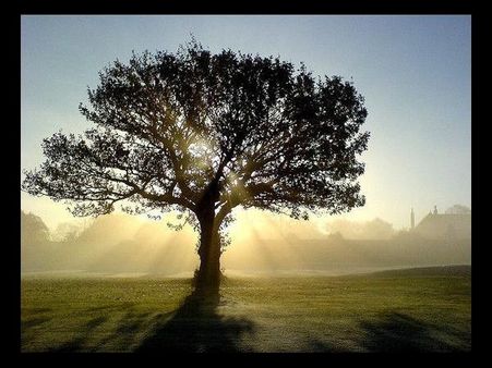 Kerkini with my Omnia By Zopidis Lefteris 