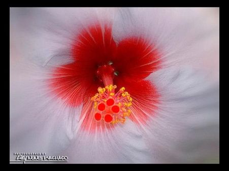 After the Sunset By Filan 