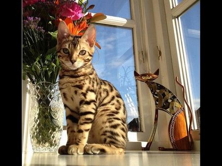 Best Pics By Smartphone