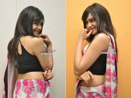 હિન્દી-સાઉથમાં અંતર નથી