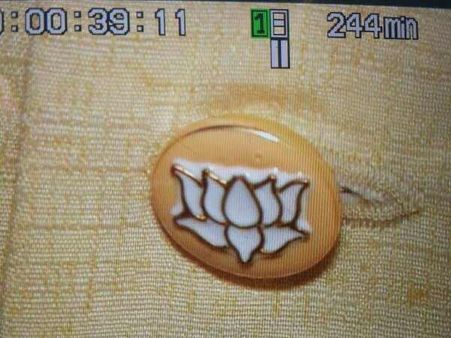 બટનમાં કમળનું ફૂલ