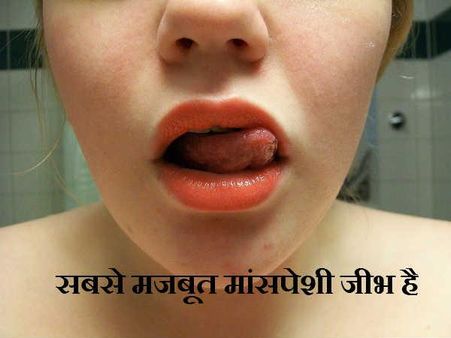 સૌથી મજબૂત માંસપેશી જીભ છે