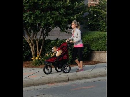 બાળક કરતા વધારે પ્રેમ