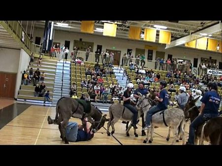 ગધેડાની રમત