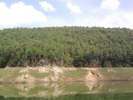 ઇકો પોઇન્ટ