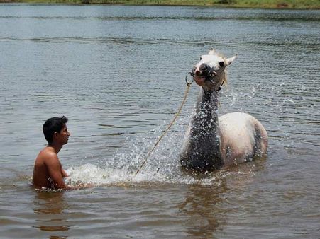 ગરમીમાં રાહત