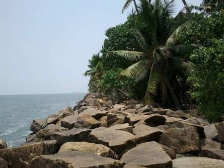 ફોર્ટ કોચિ