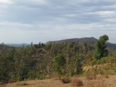 વન વ્યવસ્થા મંડળીની રચના