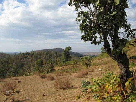 GECના પ્રયત્નોથી ધરમપુરનું અંબા તલાટ ગામ ફરી હરિયાળું બન્યું