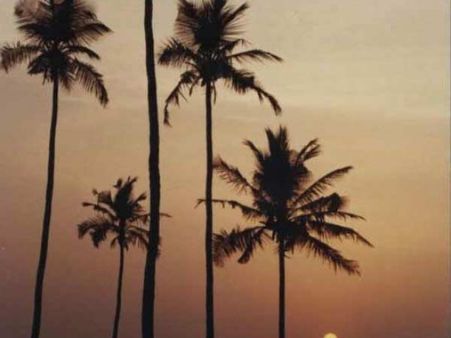 સનેશ્વર મંદિર સનેશ્વર મંદિર