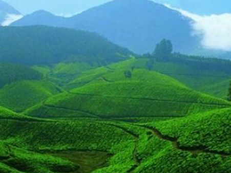 ફરીથી જીવવાનું શીખવી દે છે, કેરળનું દેવીકુલમ