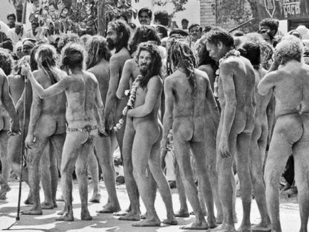 ઔષધીય મહત્વ